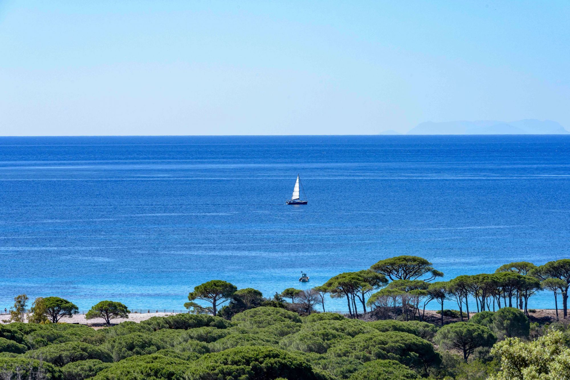 Les Bergeries de Palombaggia - Beach